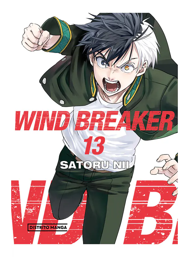 Wind Breaker 13 