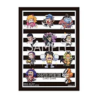 One Piece Official Sleeves 15 5