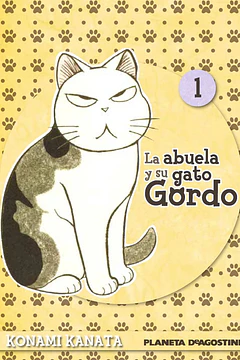 Abuela y su Gato Gordo 01