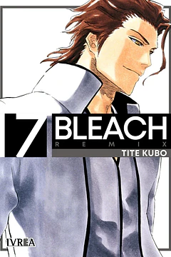 Bleach Remix 17