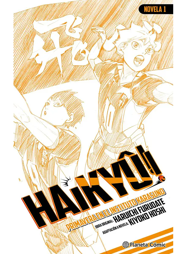 Haikyu!! Novela 01 