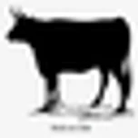 Logo de CARNES KOSHER MEHADRIN