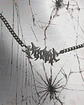 Cadena Logo 003 