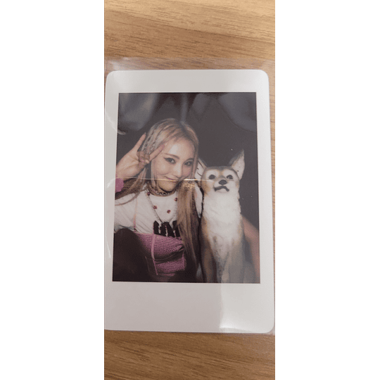 (POLAROID) LOONA - FLIP THAT (Jinsoul)