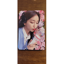 (PC) STAY C - SPECIAL LIGHTSTICK (F)