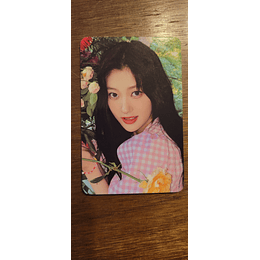 (PC) LOONA - FLIP THAT (EVERLINE) - CHOERRY
