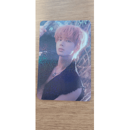 (PC) TXT - TEMPTATION LUCKY DRAW (B)