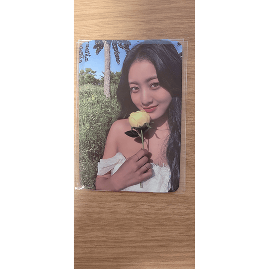 (PC) Jihyo -  ZONE (POB Aladdin)