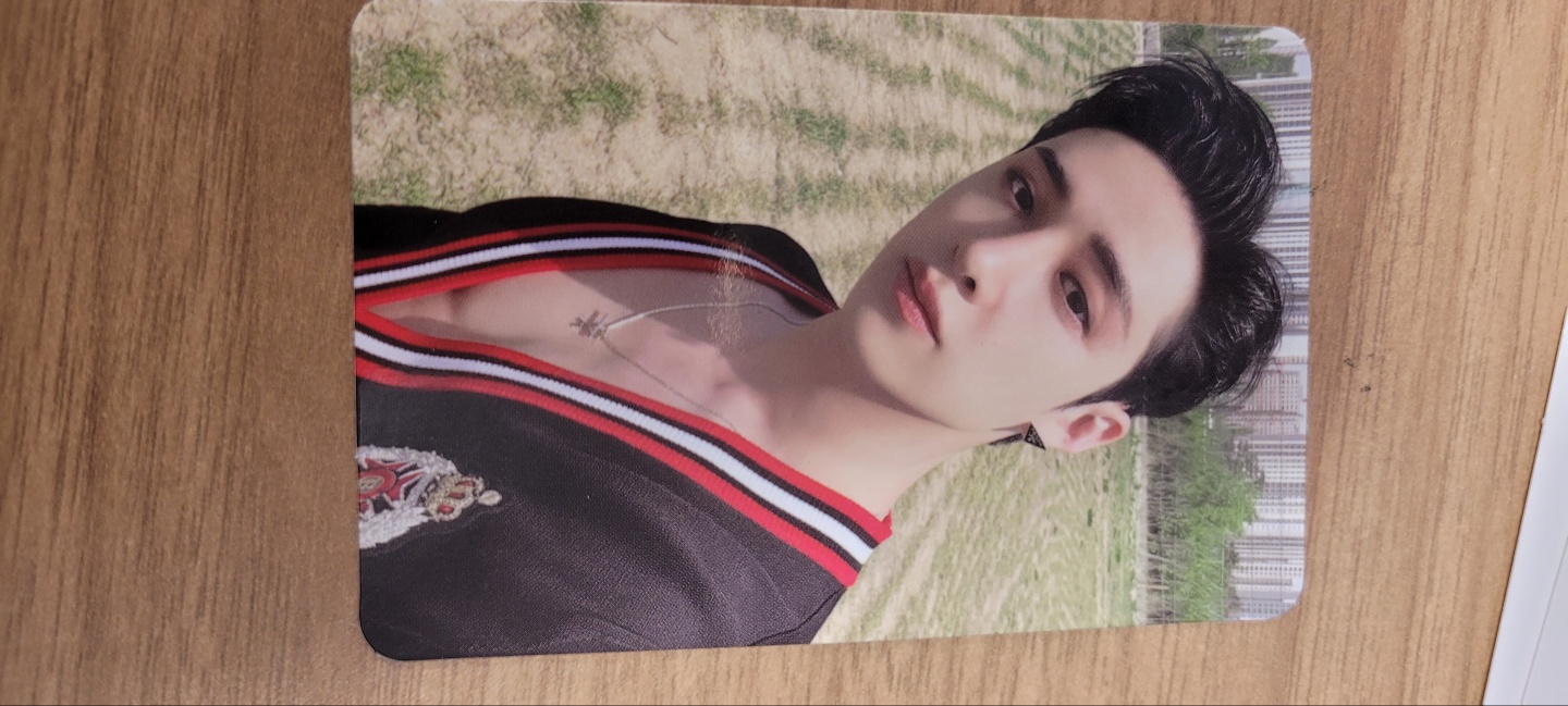 (PC) - MAXIDENT - (GO) BANG CHAN
