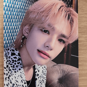 (PC) - STRAYKIDS - 5 STARS (POB WITHMUU)