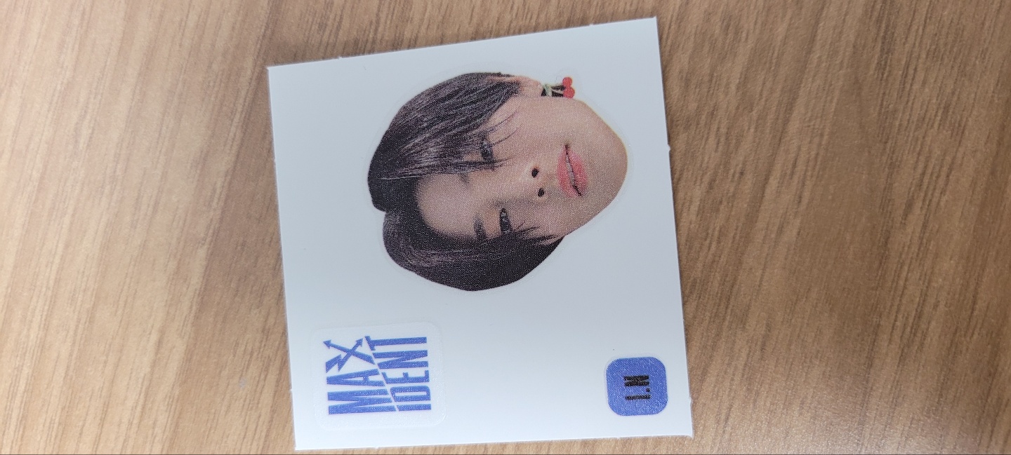 (FACE STICKER) - MAXIDENT -  IN