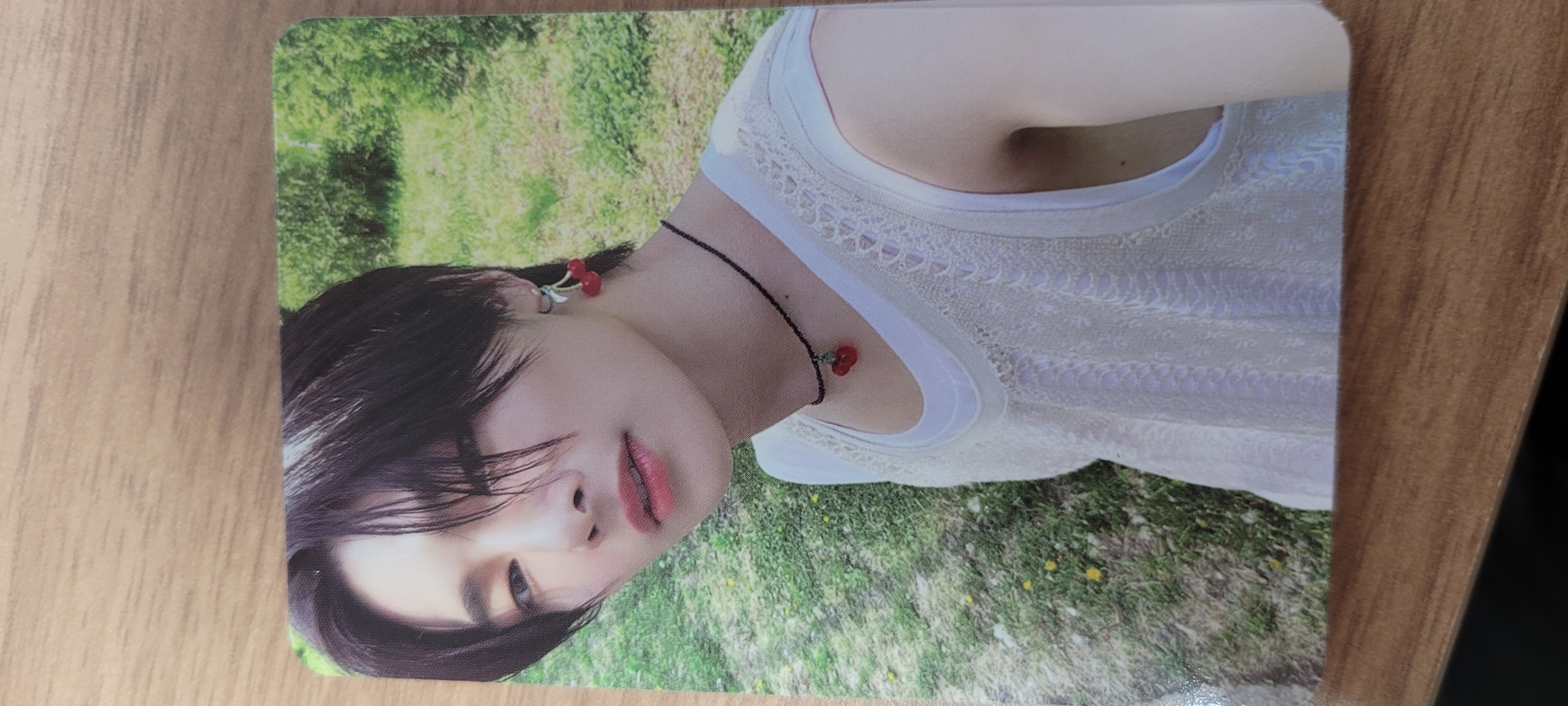 (PC) - MAXIDENT -  (T-crush) I.N