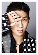 DICON - D'FESTA BTS (RM)
