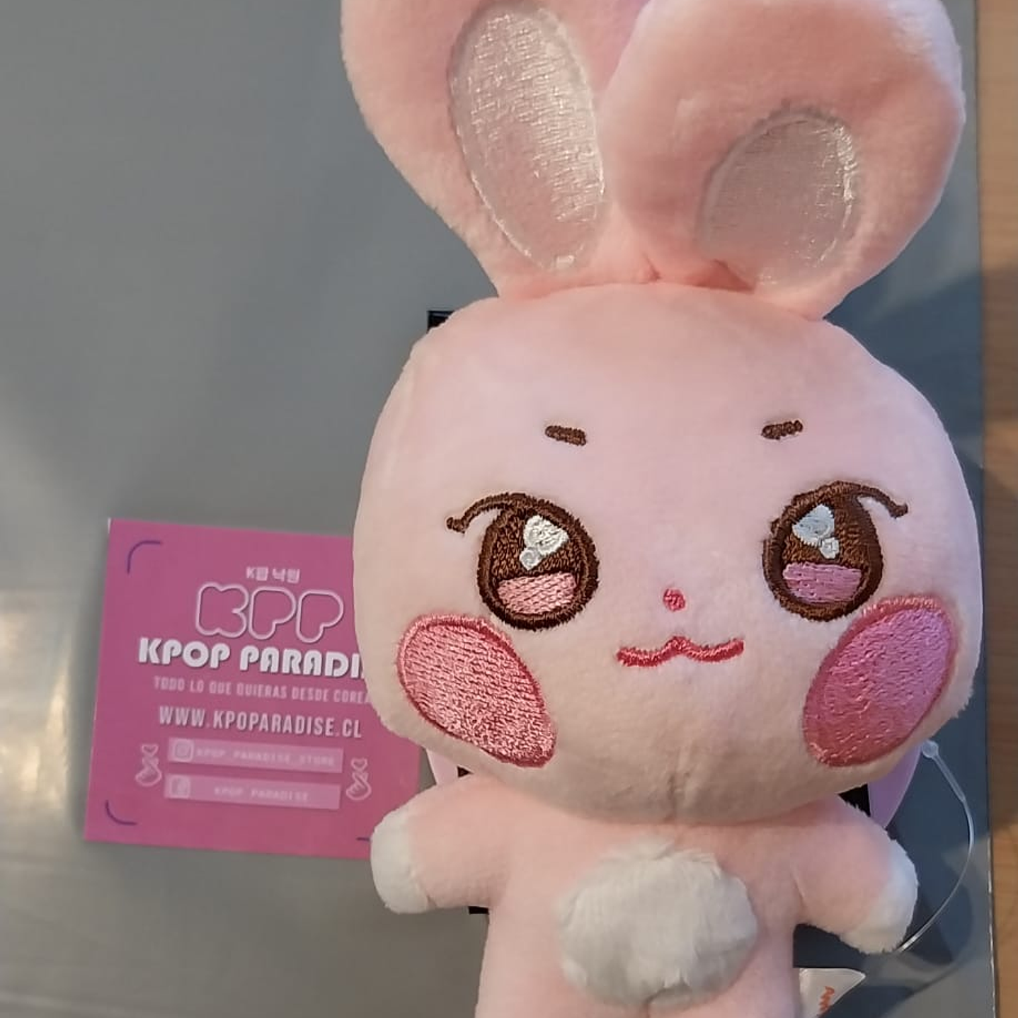 Aniteez plush keyring Ddeongbyeoli (Seonghwa)