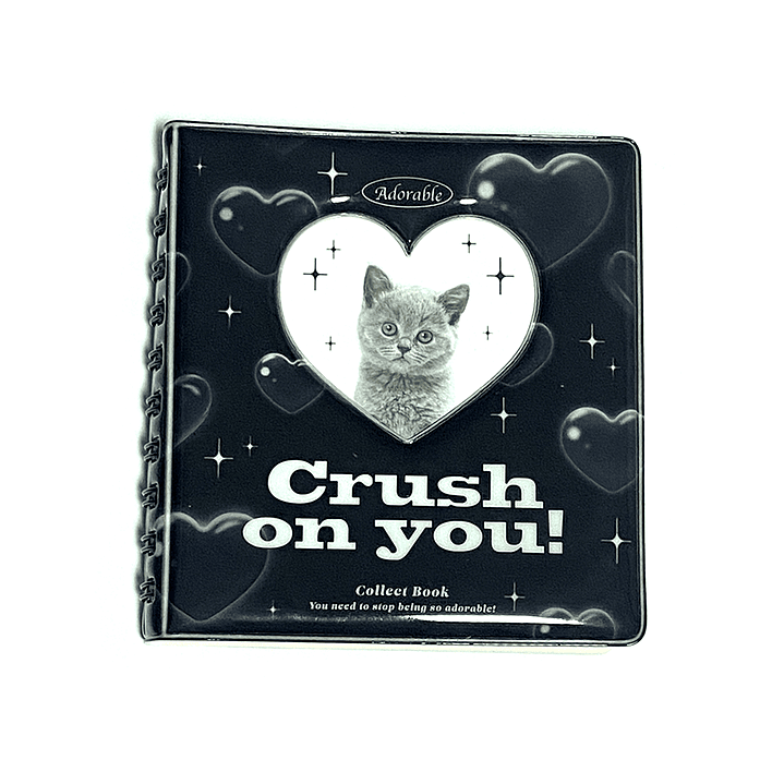 Album para photocards #1