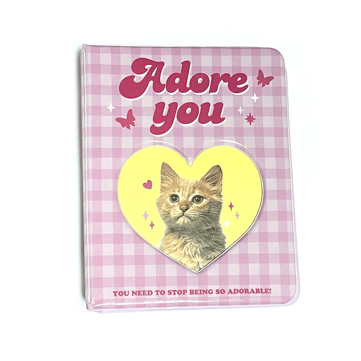 Album para photocards #2