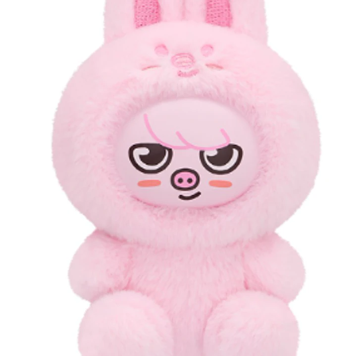 SKZOO Plush Toy Ver - Dwaekki