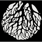 SET DE PROYECCIÓN NANLITE CON LENTE 19° Y MONTURA BOWENS 6