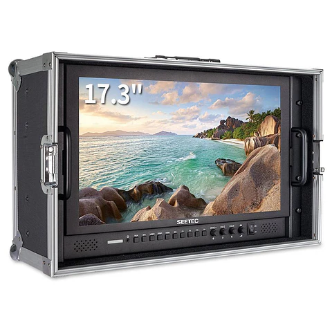 Monitor de campo SEETEC P173-9HSD  17.3" - Carry On