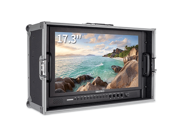Monitor de campo SEETEC P173-9HSD  17.3" - Carry On