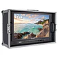 Monitor de campo SEETEC P173-9HSD  17.3