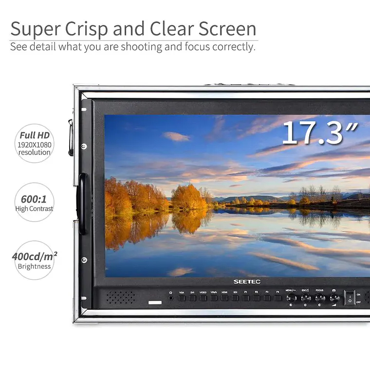 Monitor de campo SEETEC P173-9HSD  17.3