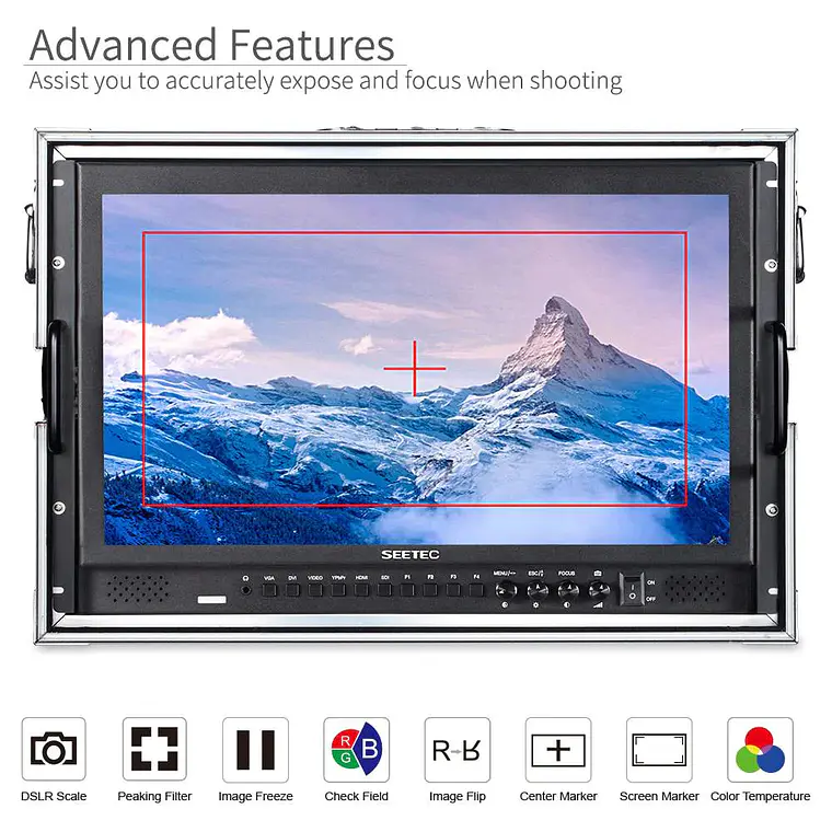 Monitor de campo SEETEC P173-9HSD  17.3