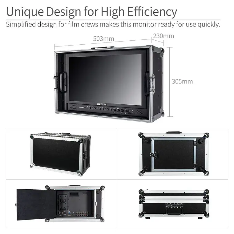 Monitor de campo SEETEC P173-9HSD  17.3