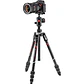 Trípode Manfrotto Befree Advanced con rótula de bola 494 - Miniatura 10