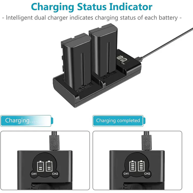 Kit 2 Baterías Neewer NP-F550 2600mAh con Cargador USB Dual 8
