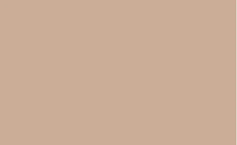 Fondo de Papel BD Natural 1,35 x 11 mts