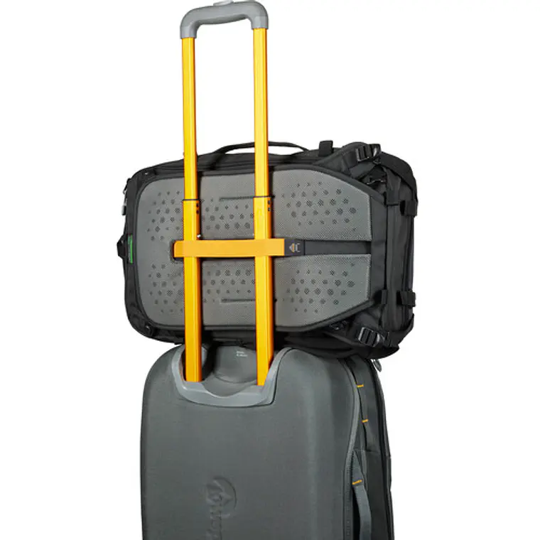 Mochila para cámara Lowepro Trekker Lite BP 250 AW Negro 12