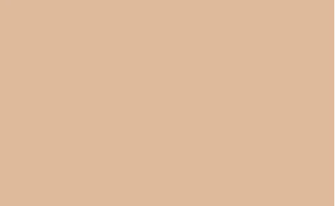Fondo de Papel BD Pongee 2,72 x 11 mts