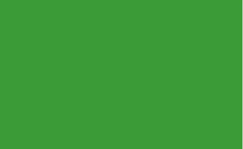Fondo de Papel BD Very Green 2,72 X 11 mts