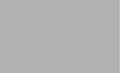 Fondo de Papel BD Plaza Gray 1,35 x 11 mts