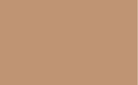 Fondo de Papel BD Latte 2,72 x 11 mts