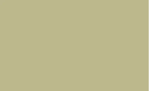 Fondo de Papel BD Pistachio 2,72 x 11 mts