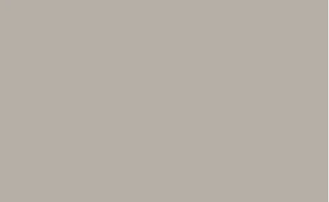 Fondo de Papel BD Pursuit Gray 2,72 x 11 mts