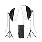 Kit de estudio Visico VE-300 Plus II Fotográfico Profesional - Miniatura 1