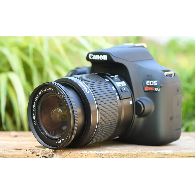 Canon Rebel T7 + Lente EF-S 18-55mm F/3.5-5.6 IS II 2
