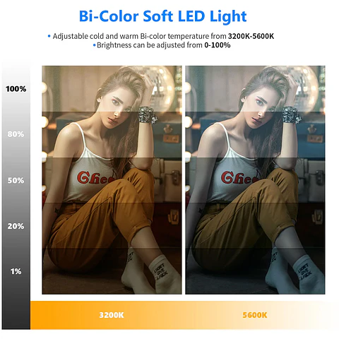 Kit de Panel Neewer NL-192AI de Luz LED Bicolor