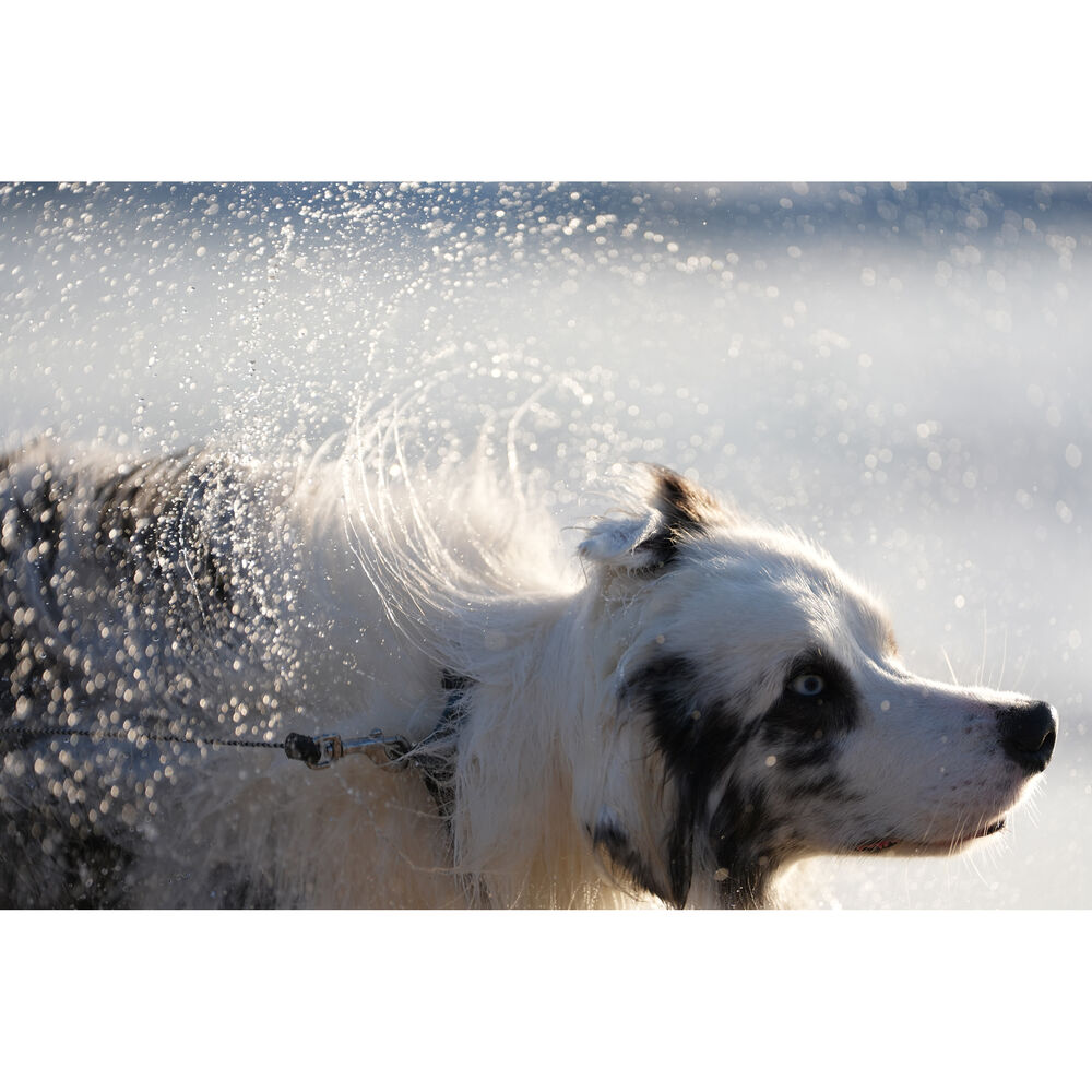 Cámara Sony A7 V Híbrida Full Frame Body 12