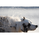 Cámara Sony A7 V Híbrida Full Frame Body 12