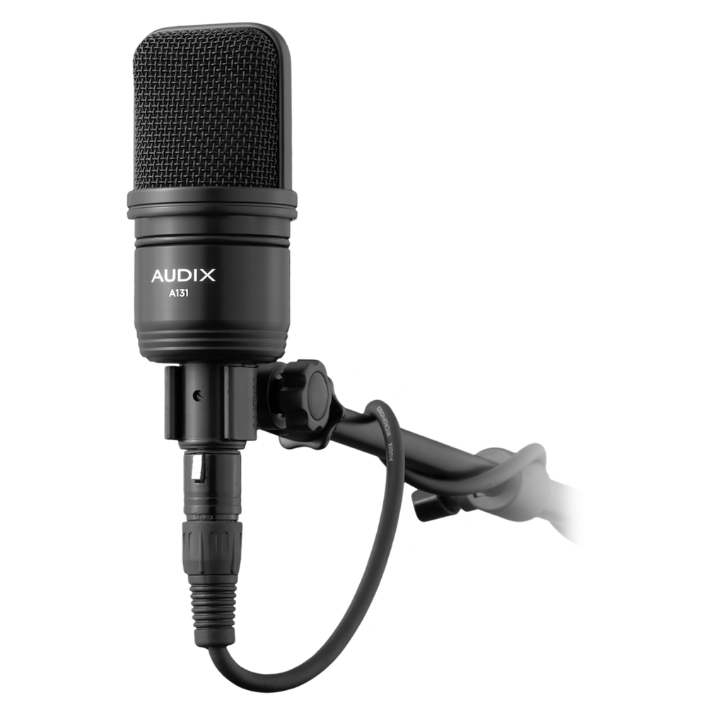 Micrófono Condensador de Estudio de Gran Diafragma AX A131 1