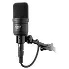 Micrófono Condensador de Estudio de Gran Diafragma AX A131 1