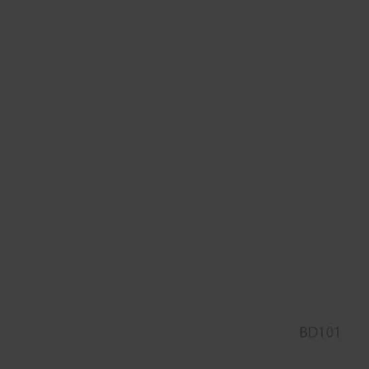 Fondo de Papel BD Negro 2,72 × 11 m BD101A1 5