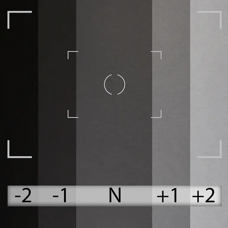 Fondo de Papel BD Negro 2,72 × 11 m BD101A1 4