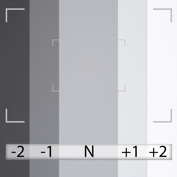 Fondo de Papel BD Graystone 1,36 × 11 m BD112A2 5