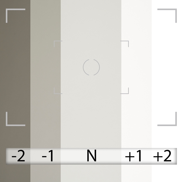 Fondo de Papel BD Photo Gray 2,72 × 11 m BD153A1 2