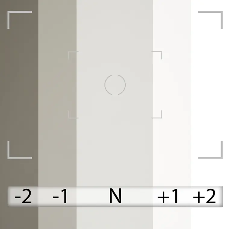 Fondo de Papel BD Photo Gray 2,72 × 11 m BD153A1 5